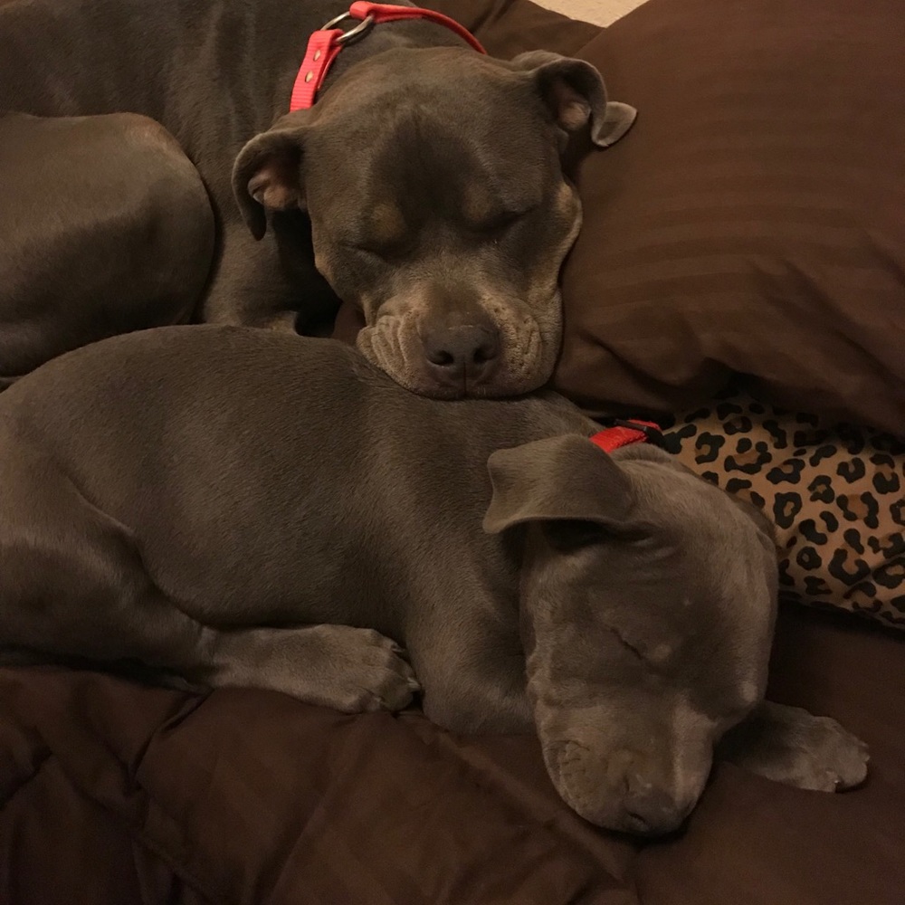 Meet your Posher, Kaila